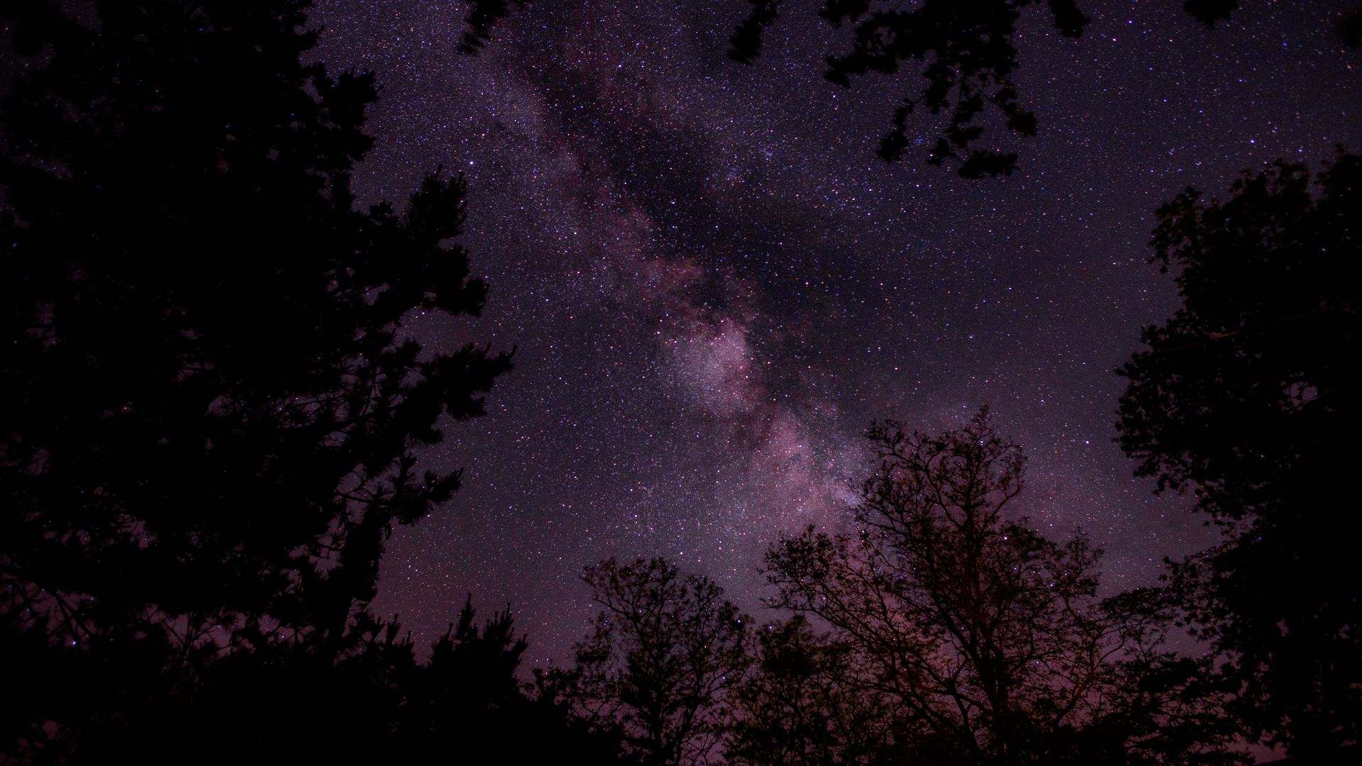 自然 树木 天空 星星 景观 夜晚 电脑壁纸 4K壁纸