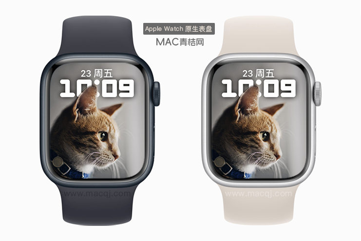 高清摄影作品系列橘猫 Apple Watch景深原生人像表盘