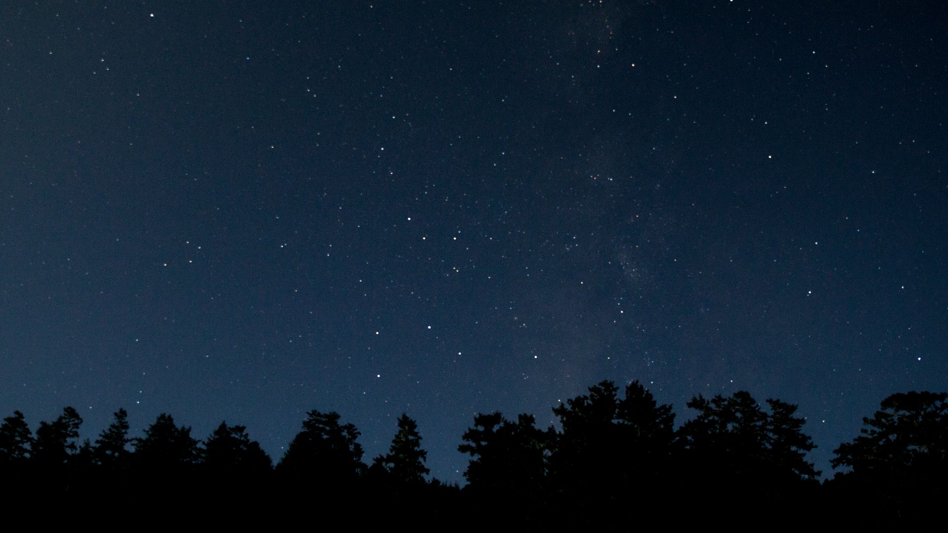 树木 夜晚 星星 星空 12k高清风景壁纸