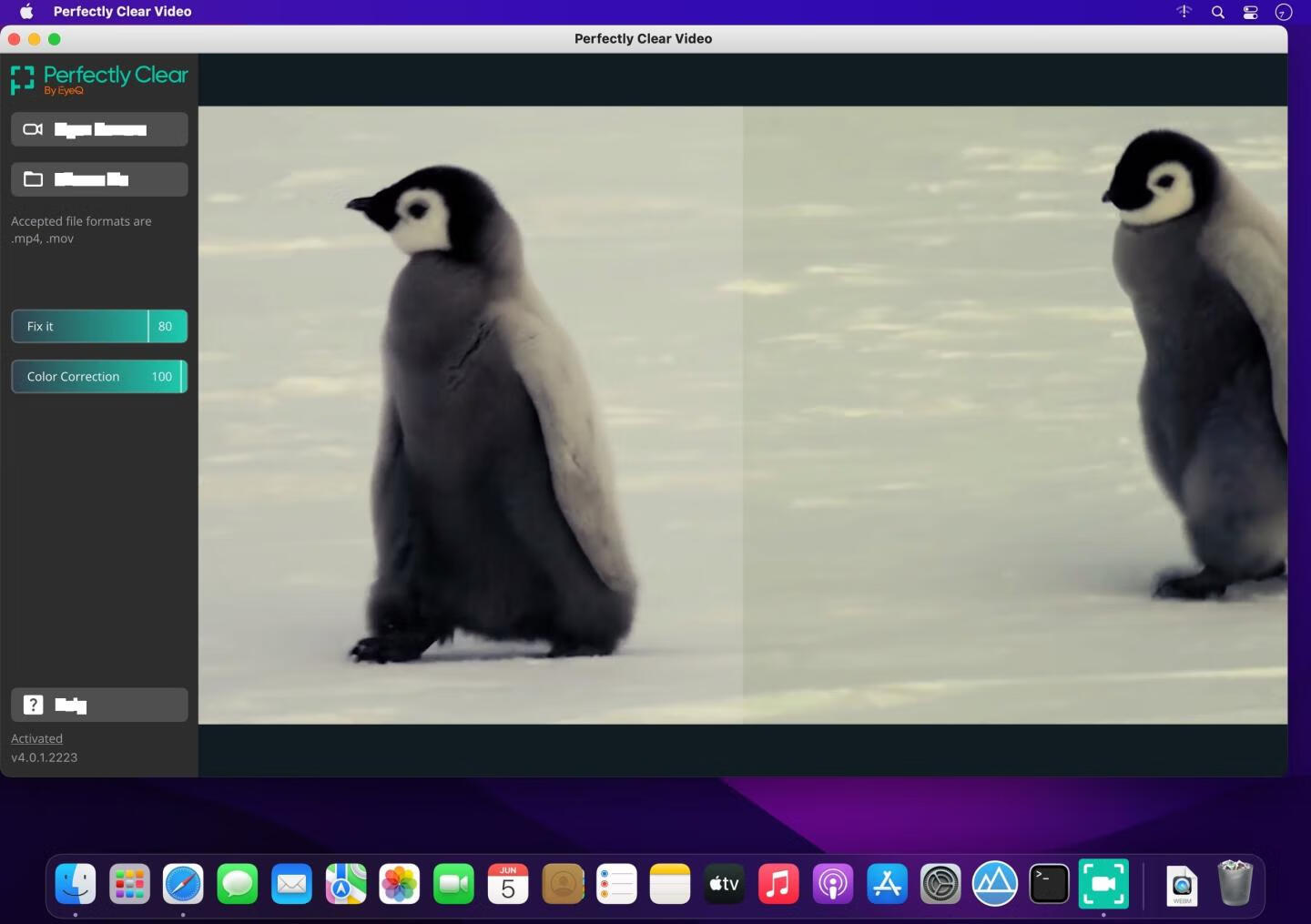 Perfectly Clear Video for Mac v4.6.0.2597激活版 AI视频增强工具-2