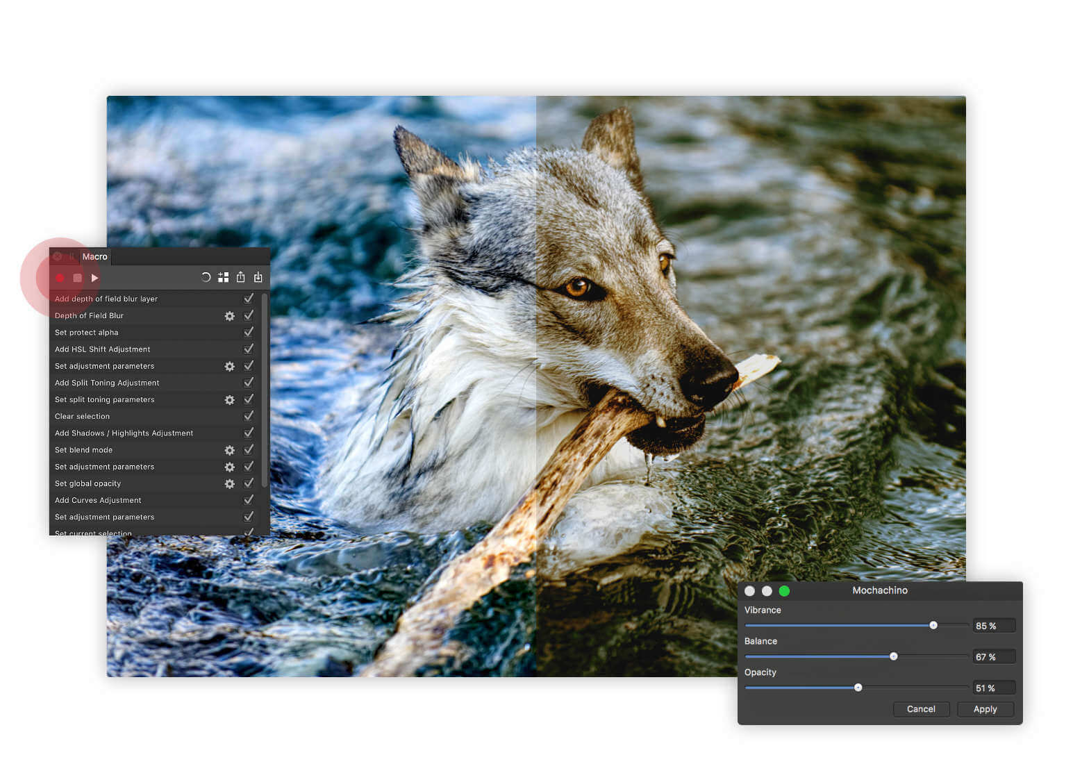 Affinity Photo 2 for Mac(专业修图软件) v2.2.0正式免激活版-10