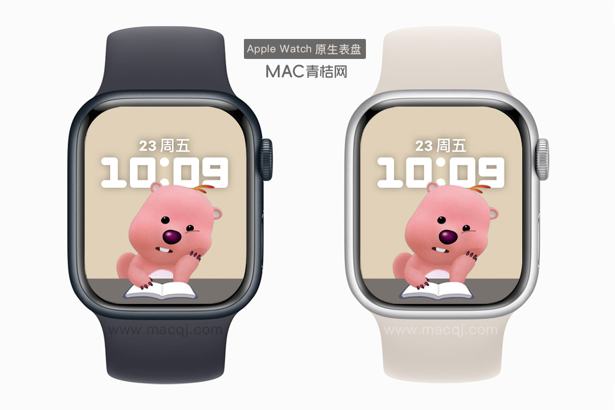 粉色小海狸loopy露比4 Watch景深原生人像表盘.watchface