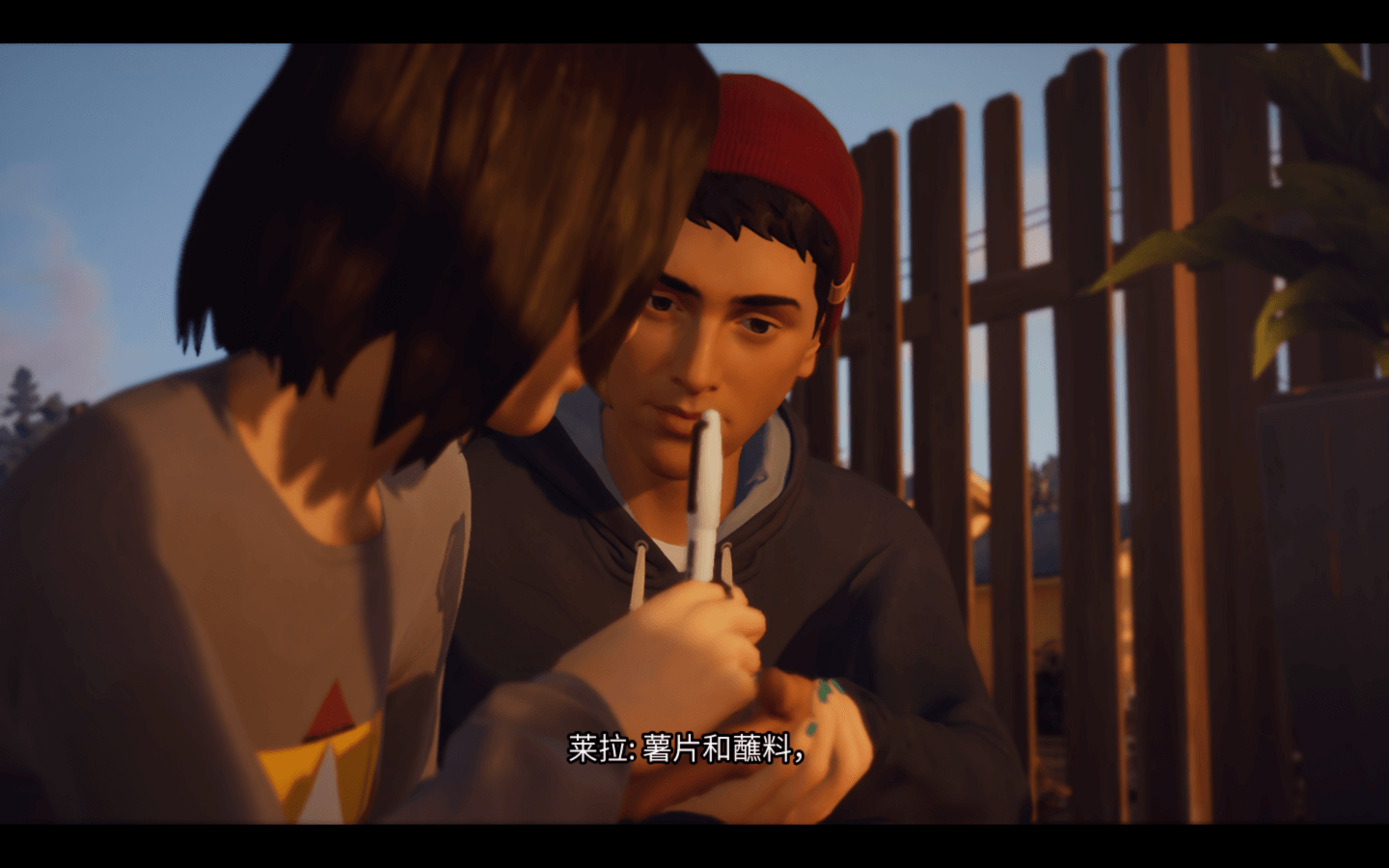 奇异人生2 Life is Strange 2 Complete Season for Mac v1.0.2 中文原生版-3