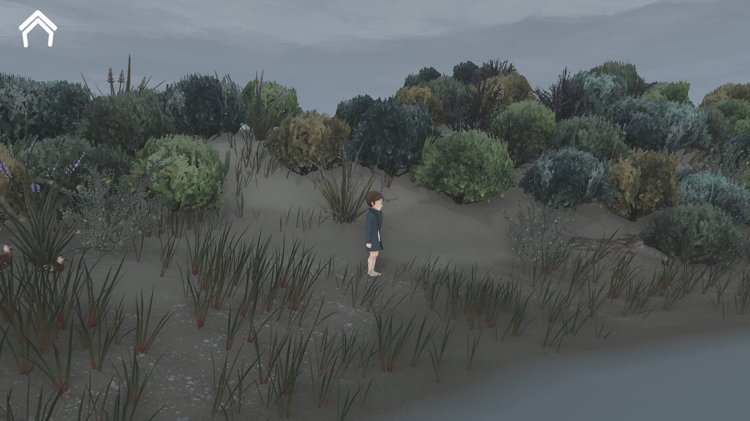 风暴男孩 Storm Boy for Mac v1.0 英文原生版-2